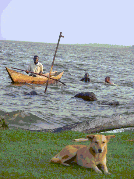 Dog sits on the beach at Lake Nabugabo, near Masaka, Uganda, while children swim and a man fishes from a dugout canoe Dog sits on the beach at Lake Nabugabo while children swim