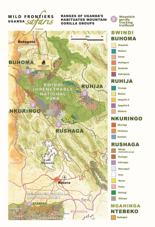 2022 Gorilla Range Bwindi and Mgahinga Uganda Map. CREDIT Andrew Roberts