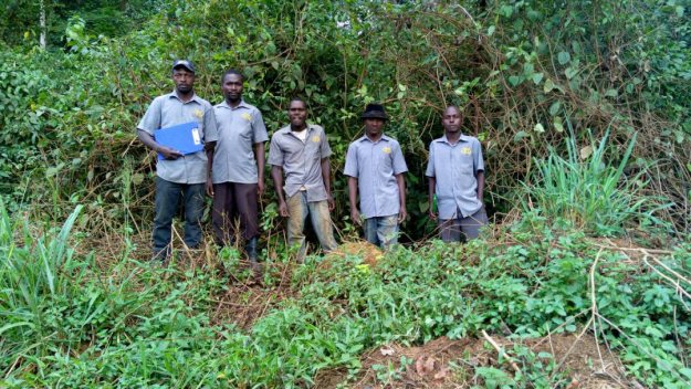 Chimp T-RAP team Bugoma Forest ACBF Chimp T-RAP team Bugoma Forest