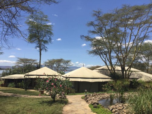 arrival at Lake Elmenteita Serena Camp. Diary of a Muzungu