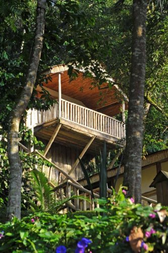 Buhoma Lodge, Bwindi Forest, Uganda