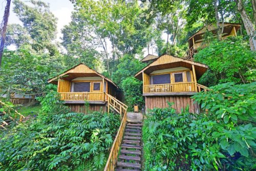 Buhoma Lodge, Bwindi, Uganda Exclusive Camps