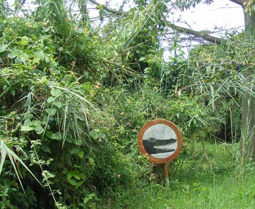 Burundi travel blog Rusizi attention crocodiles Burundi travel blog Rusizi attention crocodiles