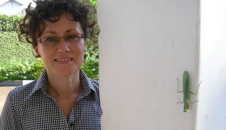 Charlotte nsenene grasshopper