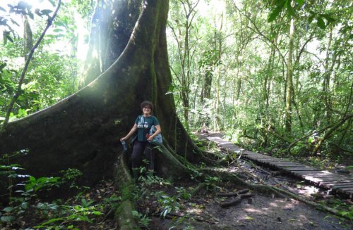 chimp tracking, Kibale Forest. Diary of a Muzungu Uganda