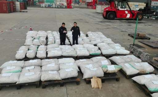 confiscated-pangolin-scales-shanghai-roxkzor9i02jtfbiebbp
