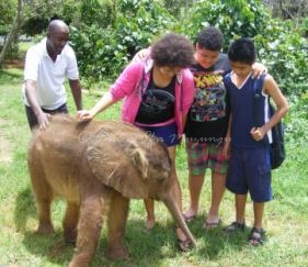 You don't have to be a kid to enjoy meeting Charlie the baby elephant! You don't have to be a kid to enjoy meeting Charlie the baby elephant!