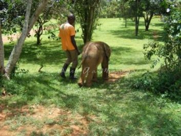 Charlie the elephant and Bruce his keeper Charlie the elephant and Bruce his keeper