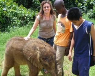 The Muzungu meets the elephant The Muzungu meets the elephant