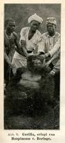 The photo shows a Mountain Gorilla killed by von Beringe First gorilla shot by Oscar von Beringe in 1902