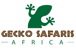 Gecko Safaris Africa