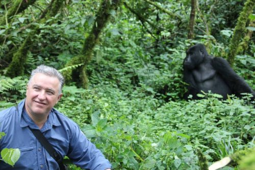Gorillas visit Buhoma Lodge, Bwindi Uganda 