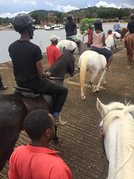 Speke Equestrian Centre horse riding lessons Speke Equestrian Centre horse riding lessons