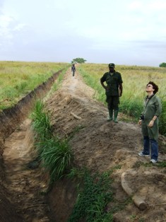 elephant trench Ishasha Queen Elizabeth National Park