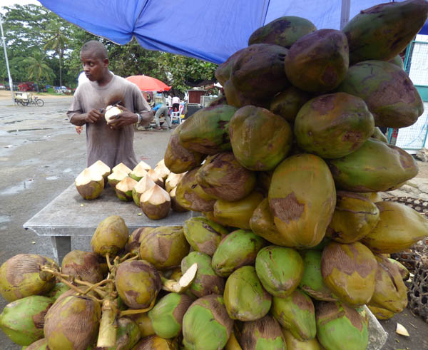 madafu coconuts. Mama Ngina Drive Mombasa. Diary of a Muzungu madafu coconuts. Mama Ngina Drive Mombasa. Diary of a Muzungu