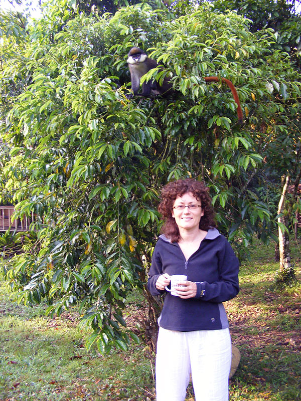 drinking tea with Red-tailed Monkey. Bwindi
