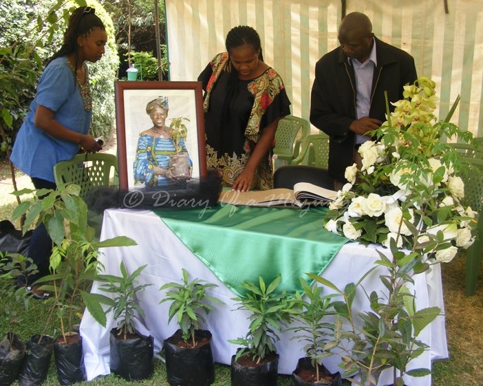 Paying my respects - the condolences book for the late Professor Wangari Maathai Paying my respects - the condolences book for the late Professor Wangari Maathai