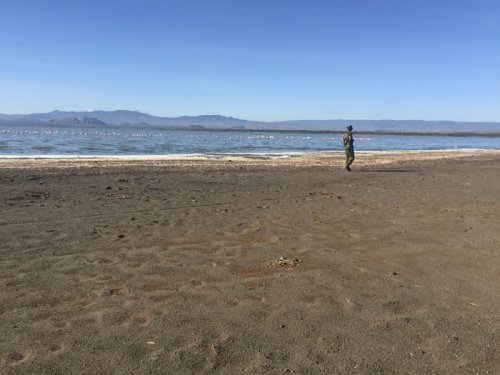 nature walk. Lake Elmenteita Serena Camp. Diary of a Muzungu