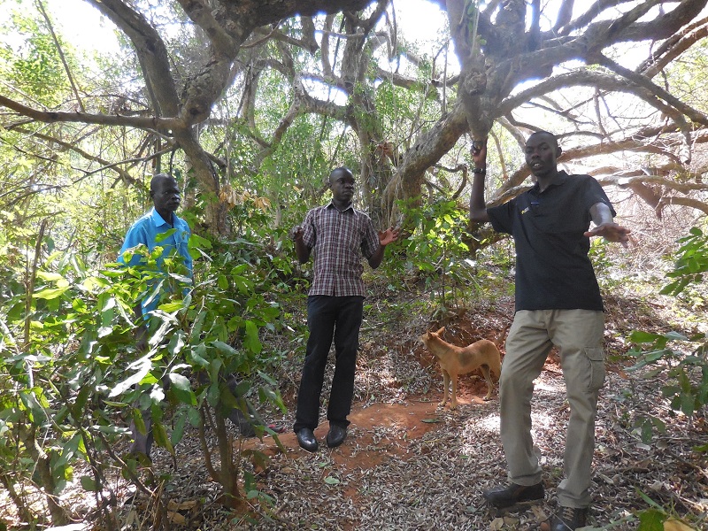 Murchison Falls, Bugungu Fort