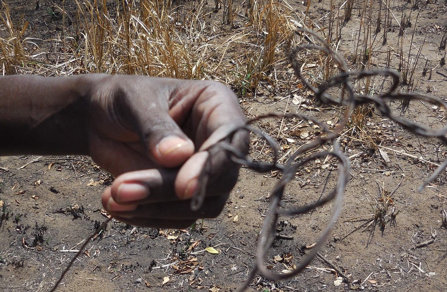 Murchison Falls, wire snare, Uganda