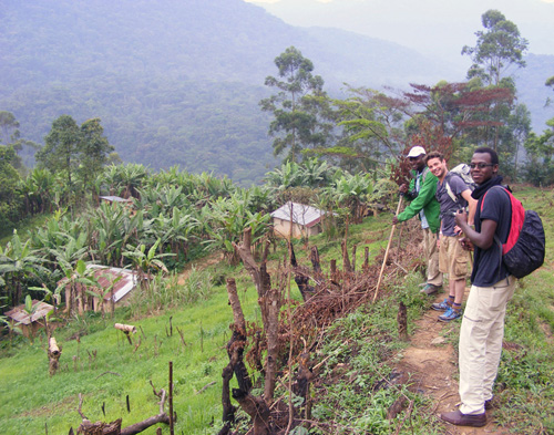 Nkuringo walking Safari Bwindi Uganda Nkuringo walking Safari Bwindi Uganda