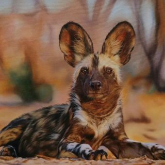 Painting of an African wild dog ARTIST COPYRIGHT Carrel Kumbirai