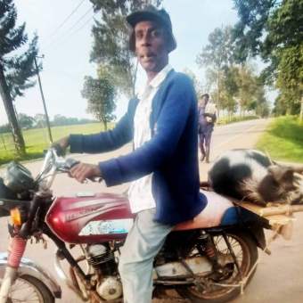 pig on a boda. PHOTO Charlotte Beauvoisin Diary of a Muzungu Uganda