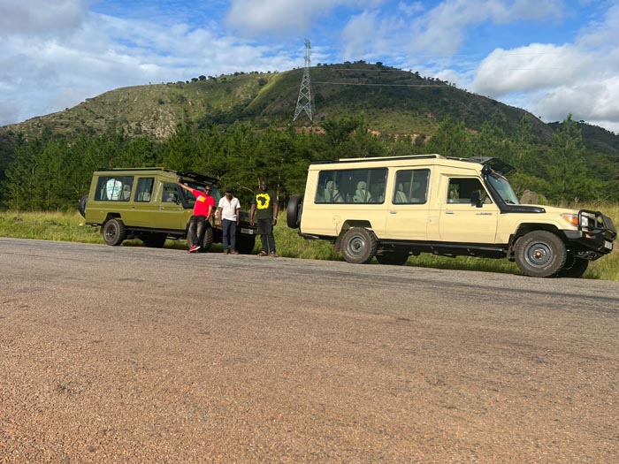 Primate Safari Experiences Limited