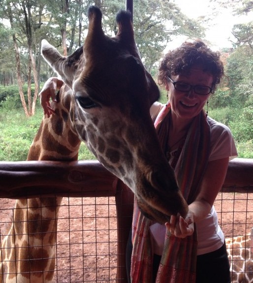 Feeding a Rothschild's Giraffe at the Giraffe Center Nairobi Rothschild's Giraffe Center Nairobi