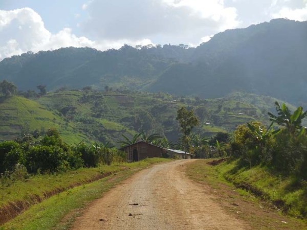 Rwenzori Mountains foothills scenery Rwenzori Mountains foothills scenery