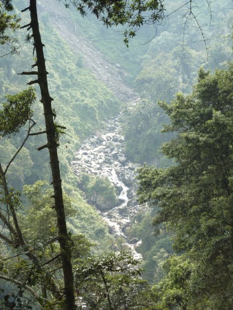 rwenzori trekking ruwenzori valley