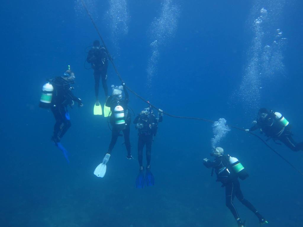 scuba diving Turtle Bay Dive Centre, Water Sports Watamu