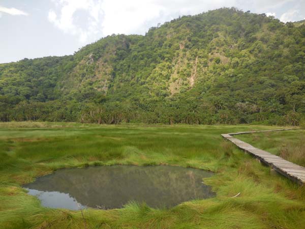 Boardwalk swamp Sempaya Hot Springs, Semliki