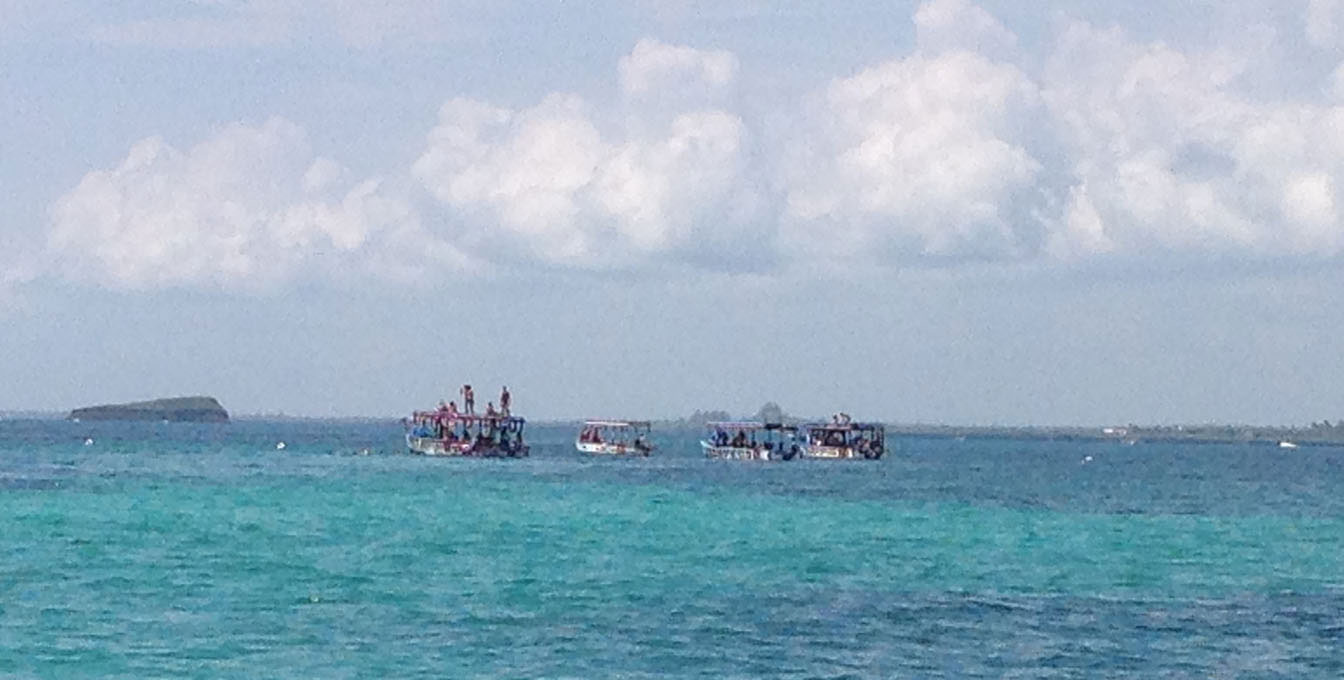 Snorkeling-Watamu-Kenya-Coral-Gardens