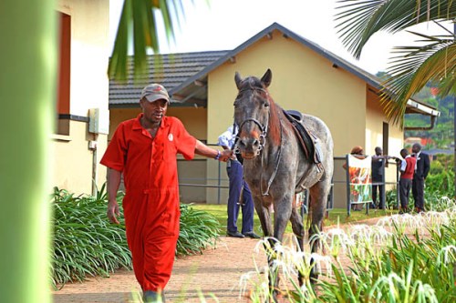 Speke Equestrian Centre pony camp Kampala Speke Equestrian Centre pony camp Kampala
