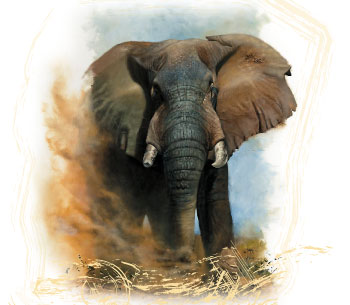 African Elephant painting by Taga