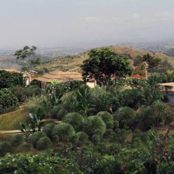 Computer generated image of Volcanoes Safaris Kibale Lodge, Uganda opening 2024