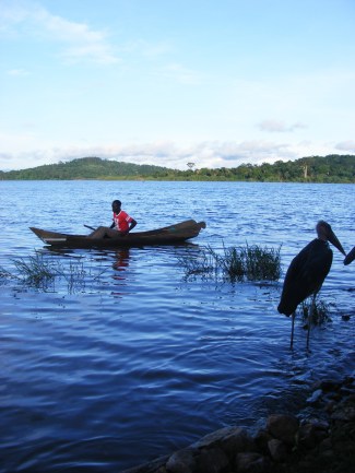 Where to eat fish on Lake Victoria. Ggaba, KSL Kabaka's Landing Site, Marabou Stork Guide to eating fish, Lake Victoria - Diary of a Muzungu
