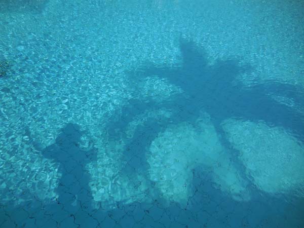 swimming pool Zanzibar Serena Inn, Stone Town
