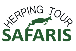 Herping Tour Safaris Uganda